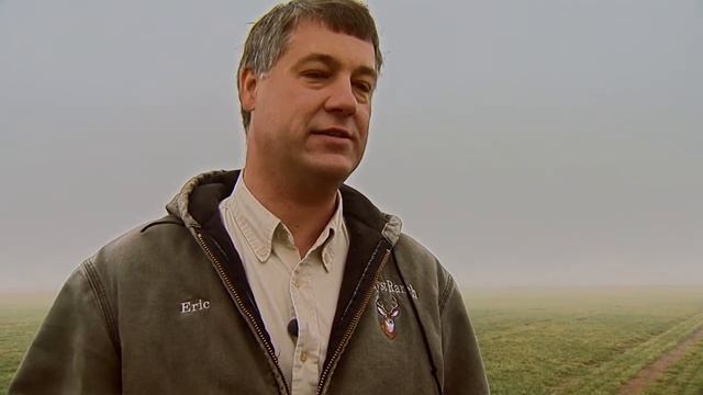 The Economics Of Grazing Wheat