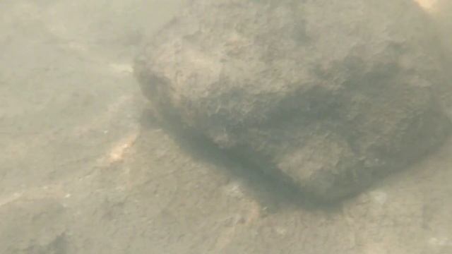 Пляж на Леневском водохранилище смотреть онлайн