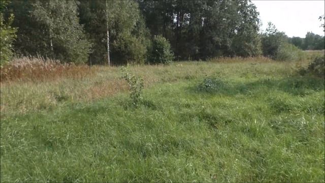 отпуск в деревне ч 3 смотреть онлайн