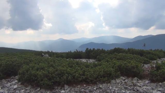 Горган Ілемський-Яйко Ілемське 2018 р.