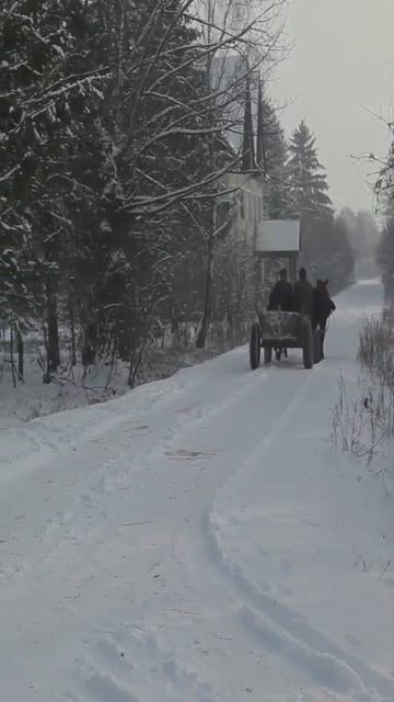 Хорошая музыка, Сергей Чекалин, красивая природа, зима, снегопад, музыка для души, 2023#2#shorts