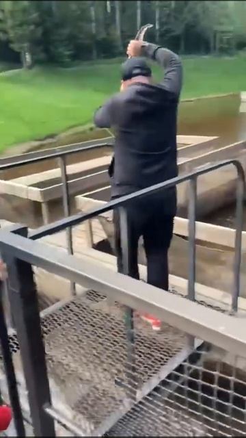 Рыбалка Муром- СПб Охта парк 20 Мая 2023…#shorts смотреть онлайн