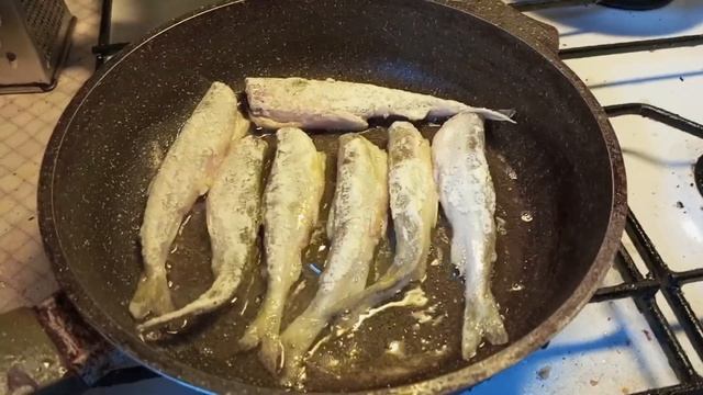 Корюшка идёт.