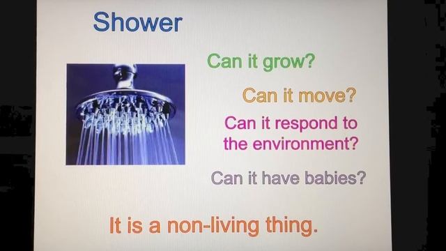 (Urdu) Science - Living Things and Non-living Things - Activities for Children (Hindi) اردو смотреть онлайн