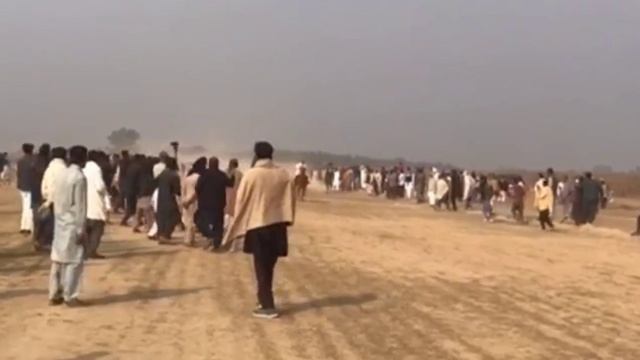 Horse race#horse#vella he vella смотреть онлайн