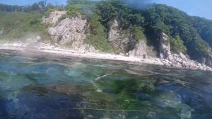 Бухта Спокойная Находка лето 2023 Морские огороды