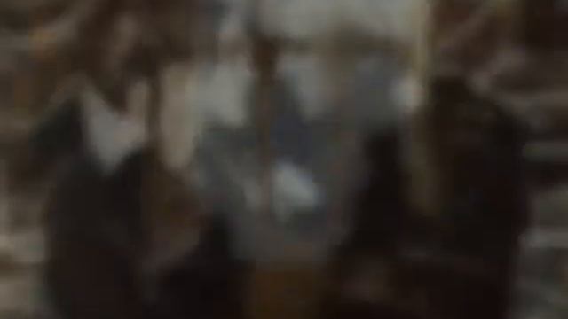 Dramiona-Гермиона и Драко)