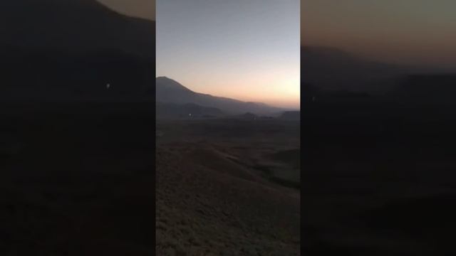 Азан, реакция животных смотреть онлайн