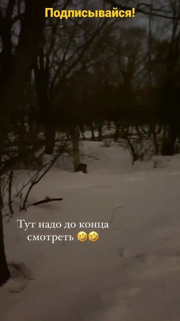 фонарик для собаки 🤣🤣🤣#shorts #собаки #игрушкидлясобак #приколы прик#топ #топлучших #рекомендации смотреть онлайн