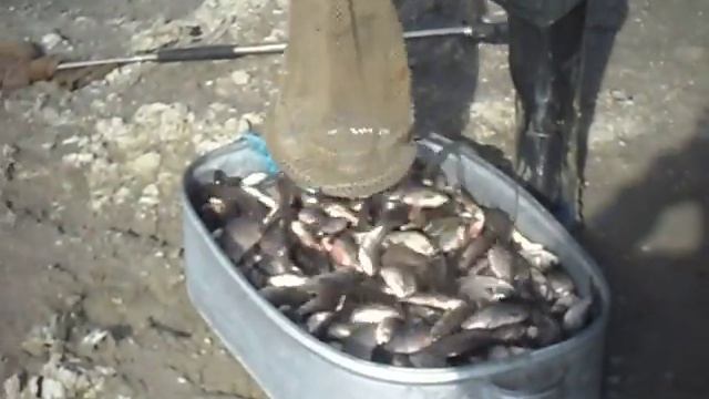 ELLE BALIQ OVU 2 смотреть онлайн