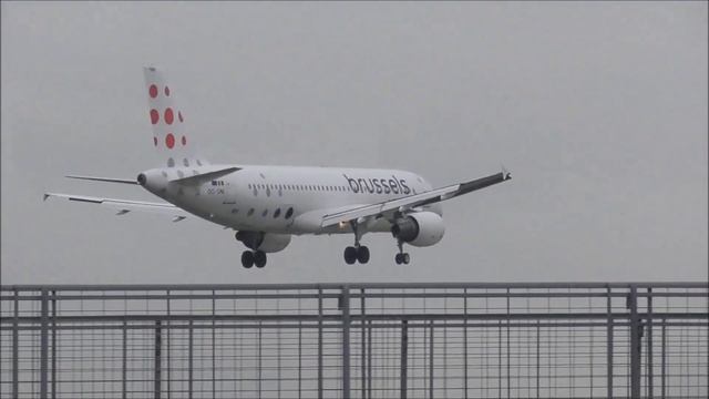 Brussels Airlines new livery #shorts смотреть онлайн