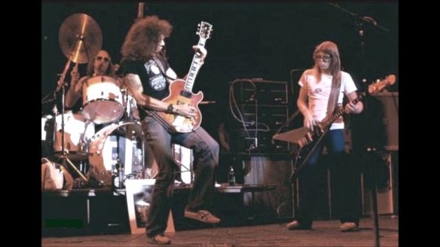 Hot Tuna - LIVE - New York '75 смотреть онлайн