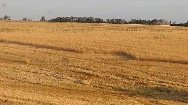 Работа. Камаз Урожай 2019. смотреть онлайн