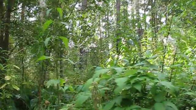 Параллельная парковка, разворот и эстакада смотреть онлайн