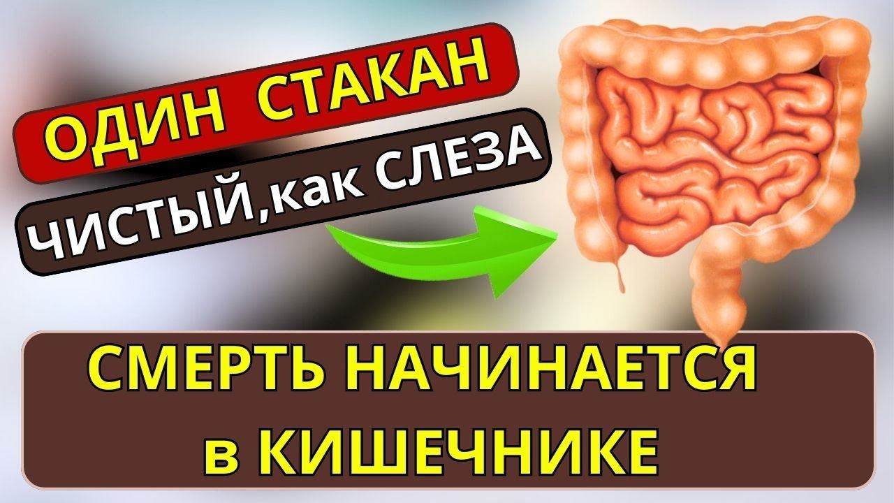 Вся грязь ВЫЛЕТИТ за ТРИ Дня, всего один стакан.… Чистый кишечник смотреть онлайн
