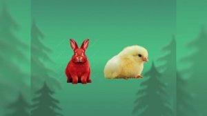 Четверо в кубе по дороге с облаками