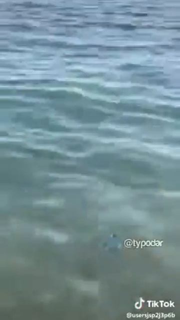 Самый чистый водоём