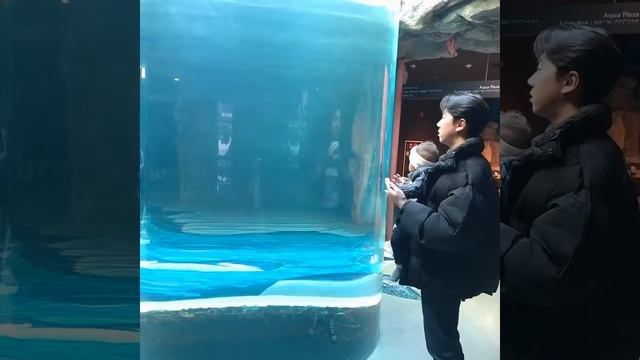 우와 로아야 고기다 고기 смотреть онлайн