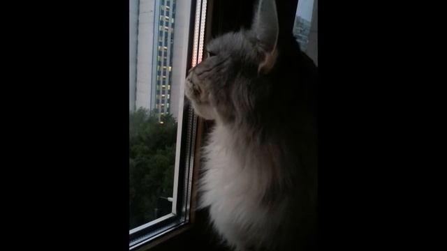 Недоступная цель смотреть онлайн