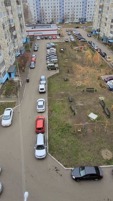 Андрюша первый раз пошел в магазин смотреть онлайн