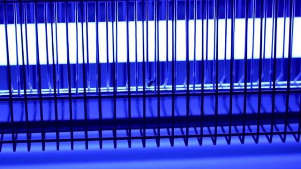 iBELL 20W 210IK Insect Killer Machine for Home Restaurants, Hotels & Offices