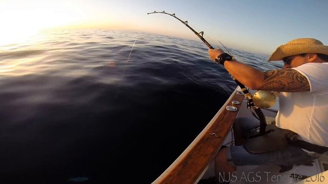 Yellowfin tuna, Sport fishing, Predator fish hunting, Bass, Grouper, Salomon, Baracuda, FishingPros смотреть онлайн