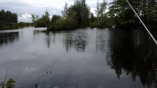 #ШАТУРА, #КАРЬЕРЫ, #ЦВЕТЫ, 2020 4