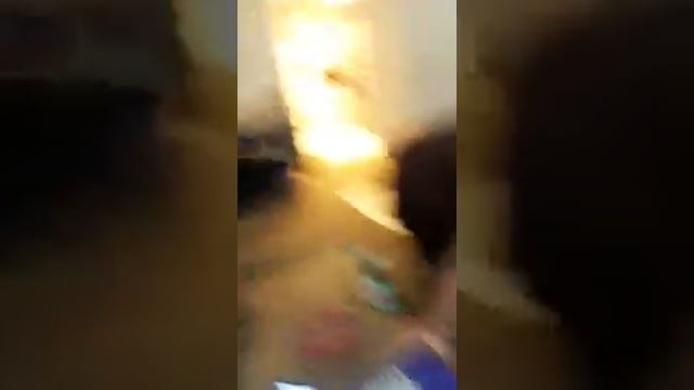 My dog is scared of the blender смотреть онлайн