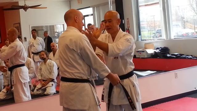 Taira Bunkai Seminar In Matawan, New Jersey April 2014 (Clip 3 Of 7)