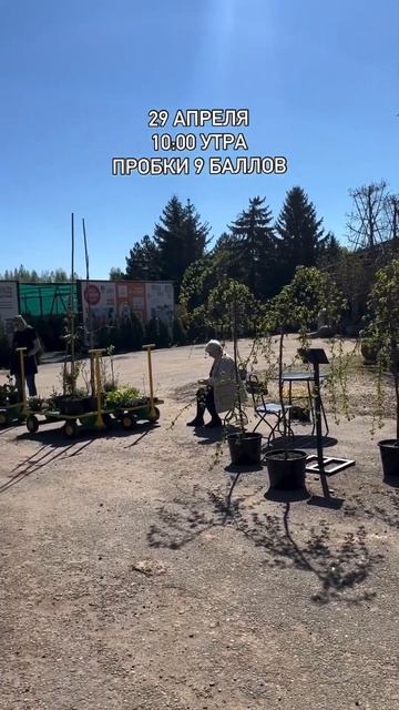 #ландшафтныйдизайн #питомниксавватеевых #питомникрастений #садовыйцентр #сад #садоводство смотреть онлайн