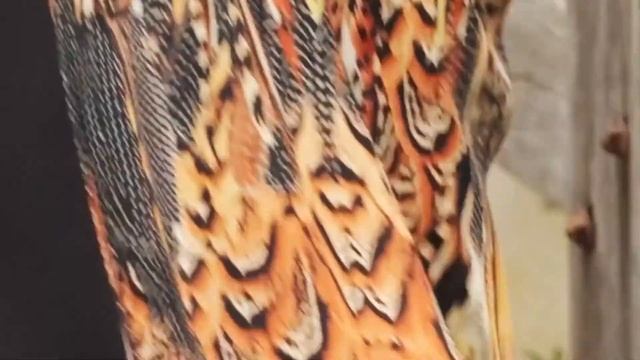 Plumage Kimono - Hana The Label смотреть онлайн