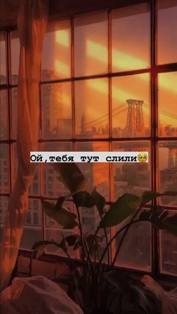 ой,тебя слили😦💗 смотреть онлайн