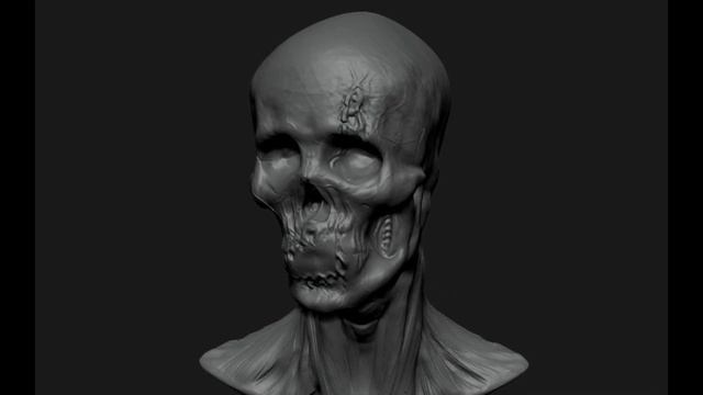 Sculpting a skull bust from scratch - Zbrush 2020 Timelapse смотреть онлайн