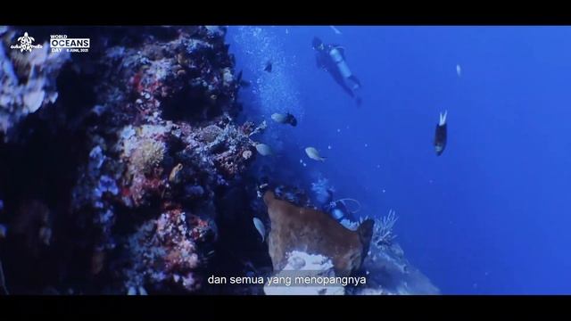 The OCEAN [ A Film Celebrating World Ocean Day ]