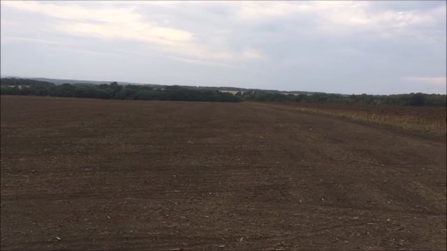 14 сентября посев пшеницы