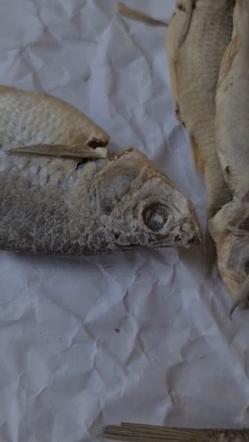 как солить и сушить рыбу / как солить рыбу