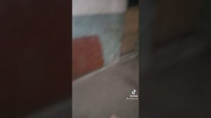 Алкаш насрал в подъезде