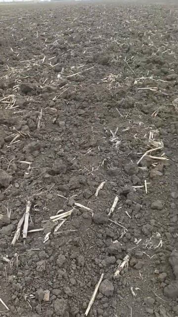 продолжение веселья#трактористы #механизатор #трактора #работа