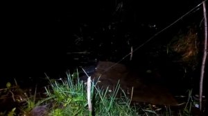 ночная рыбалка на резинки