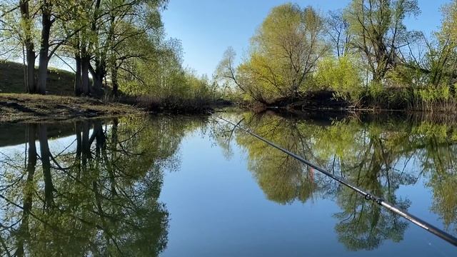 Утро на реке Танайка. Пение птиц. Май. Весна