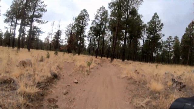 Bikepacking the Coconino Loop Slowly: Day 12 смотреть онлайн