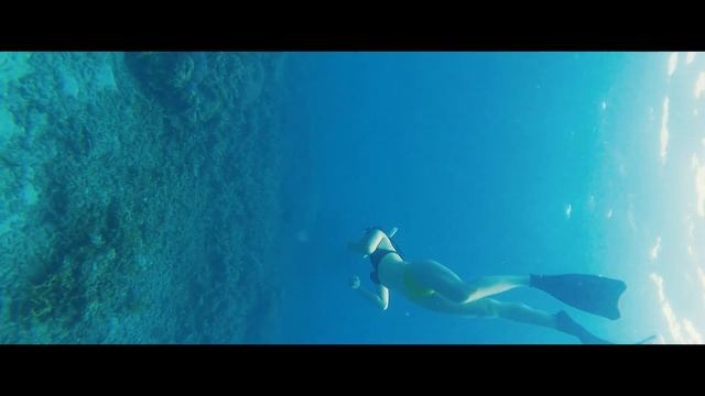 Pulau Perhentian - The final dive for 2021 смотреть онлайн