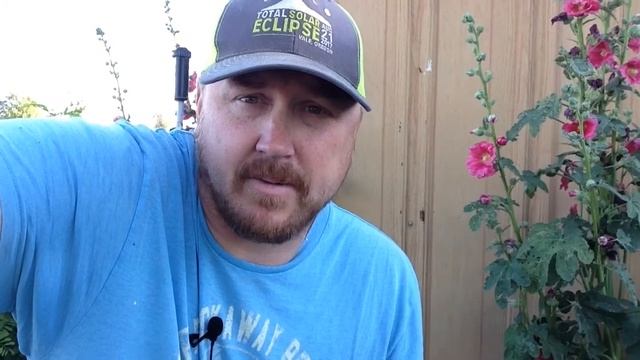 5 Tips to Help Your Garden Beat The Summer Heat смотреть онлайн