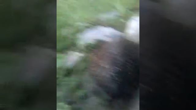 20140616 200106 смотреть онлайн