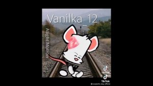 тик ток таинственный особняк #3(Saspeсts) (10минут)