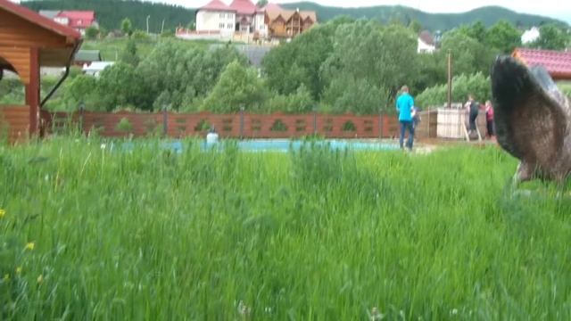 Табір Вандер День Перший смотреть онлайн