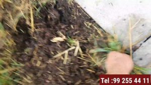 3 mln sum sarflangan joydagi yutuq va kamchiliklar.Qiziq bolsa koringlar😊😉