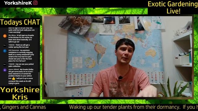 Waking up tender plants ready for spring. Cannas, Colocasia, Ensetes and more. смотреть онлайн
