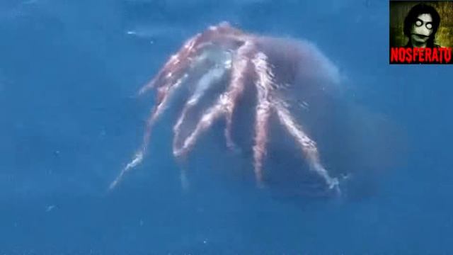 То от чего стынет кровь-Bloop:Ктулху пробудился или таинственнные звуки Тихого океана. смотреть онлайн