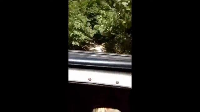 Джипинг🚙... Круто! Чуть не упали?!👑